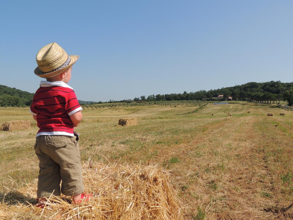 Agriturismo Podere Borgognano Massa Marittima Εξωτερικό φωτογραφία