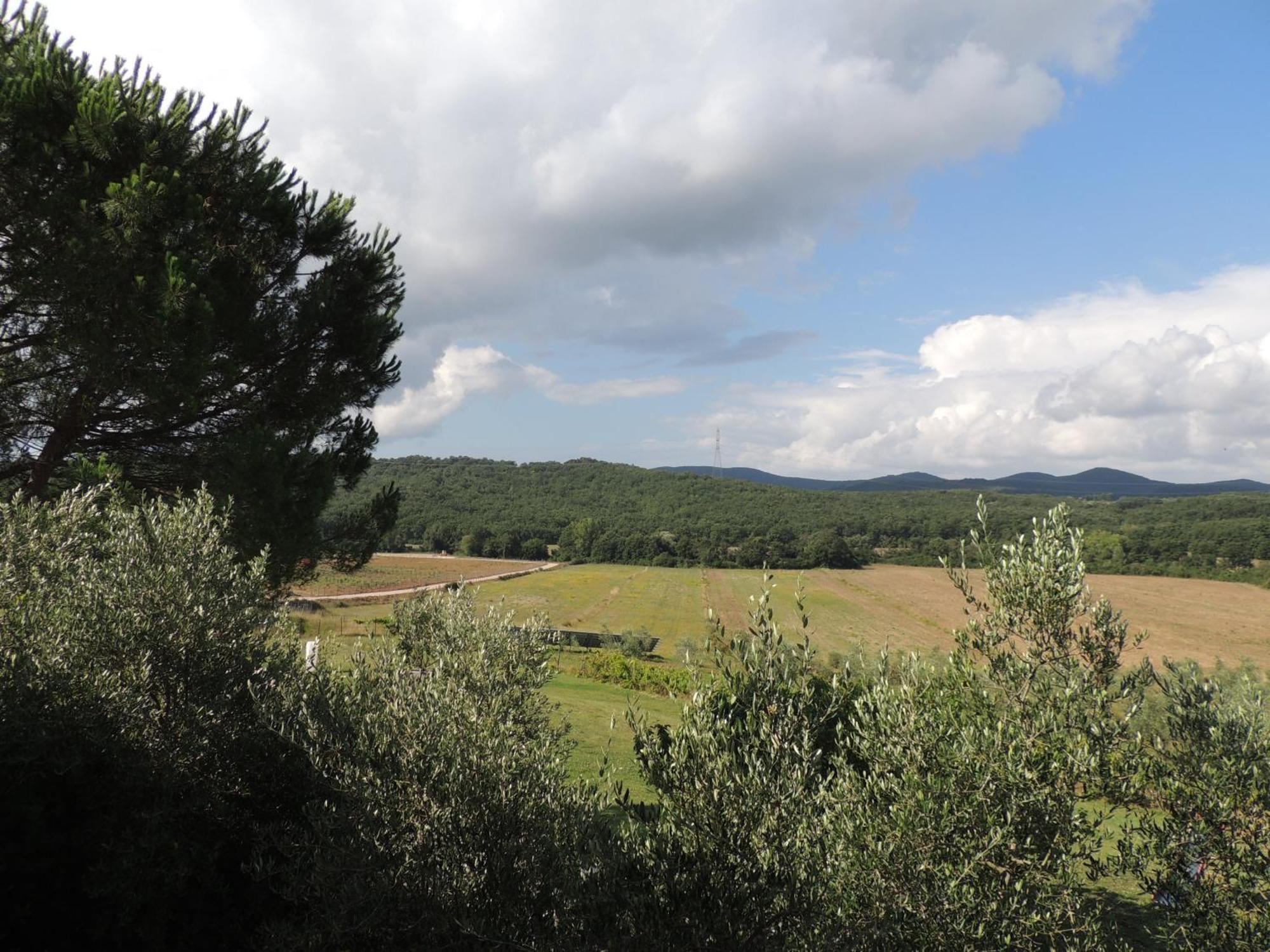 Agriturismo Podere Borgognano Massa Marittima Δωμάτιο φωτογραφία