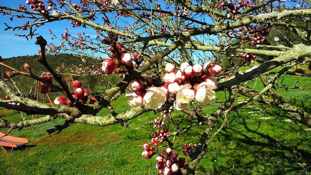 Agriturismo Podere Borgognano Massa Marittima Εξωτερικό φωτογραφία