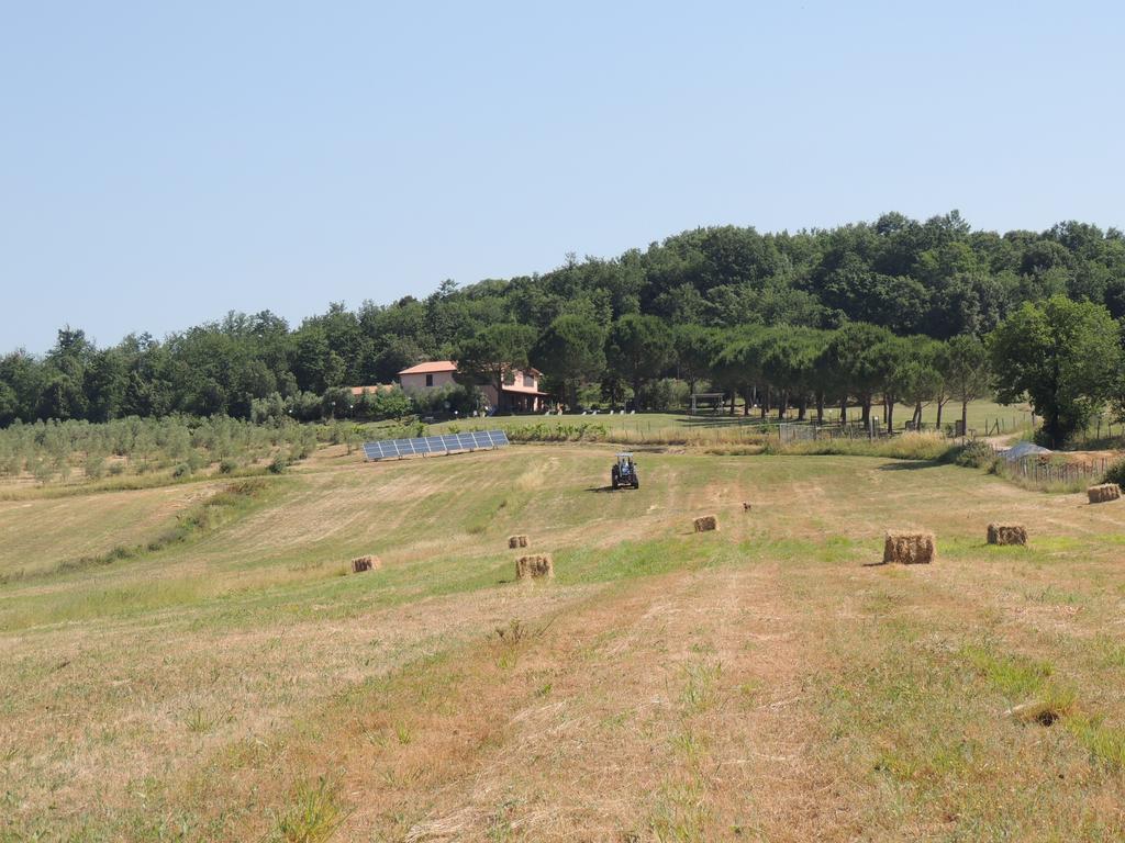 Agriturismo Podere Borgognano Massa Marittima Εξωτερικό φωτογραφία