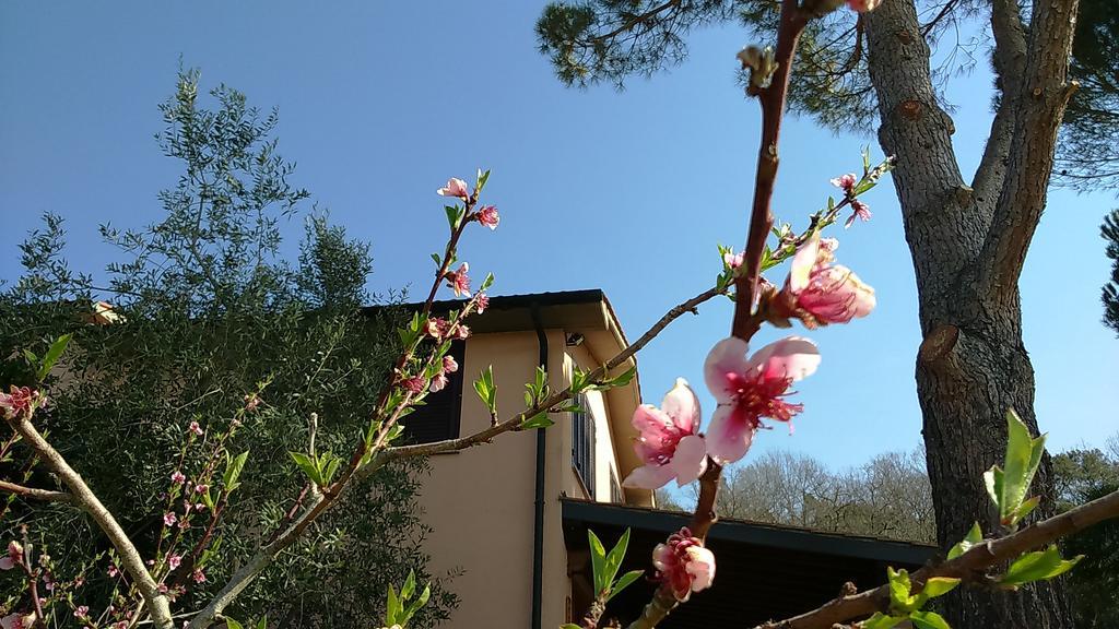 Agriturismo Podere Borgognano Massa Marittima Εξωτερικό φωτογραφία