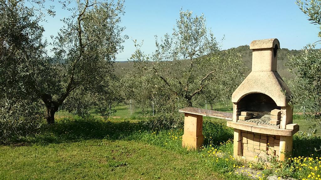 Agriturismo Podere Borgognano Massa Marittima Εξωτερικό φωτογραφία
