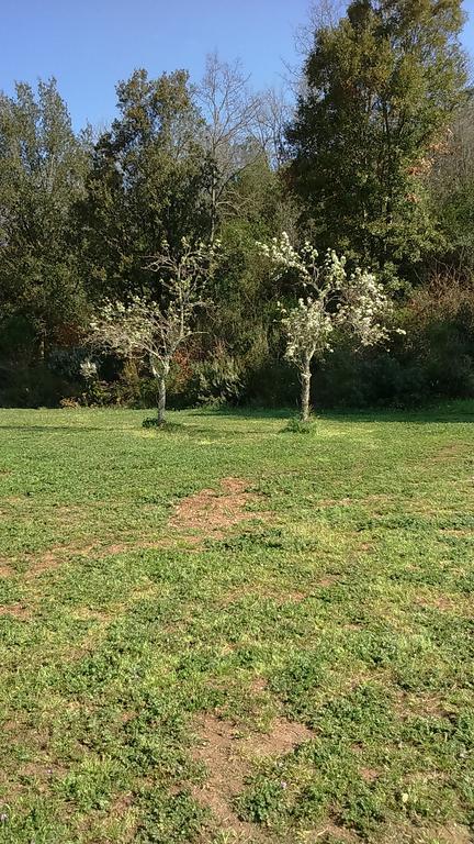 Agriturismo Podere Borgognano Massa Marittima Εξωτερικό φωτογραφία
