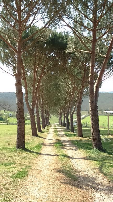 Agriturismo Podere Borgognano Massa Marittima Εξωτερικό φωτογραφία