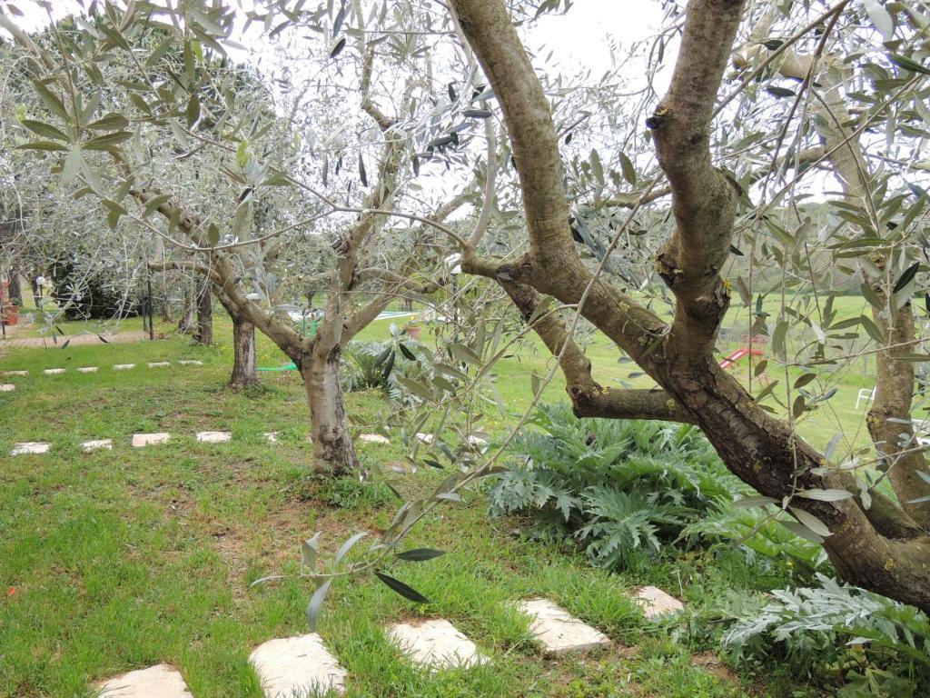 Agriturismo Podere Borgognano Massa Marittima Εξωτερικό φωτογραφία