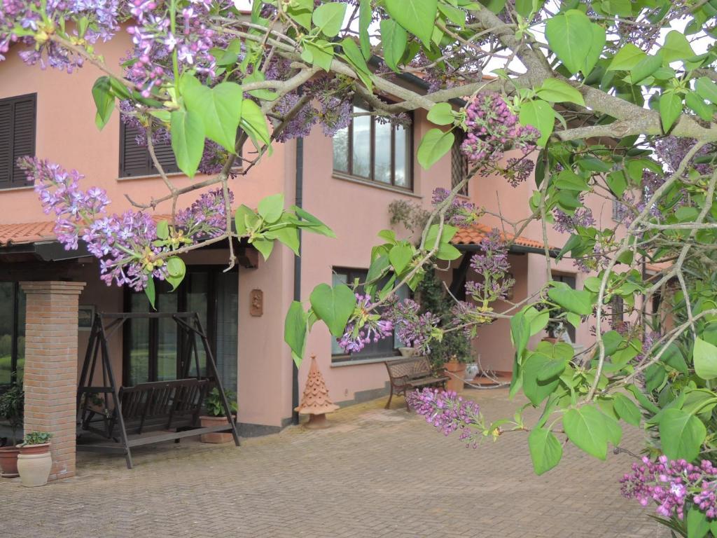 Agriturismo Podere Borgognano Massa Marittima Εξωτερικό φωτογραφία