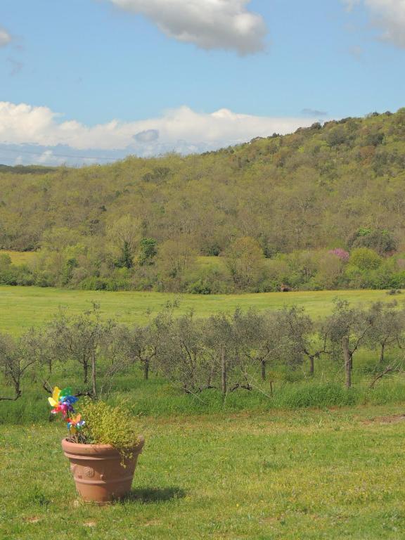 Agriturismo Podere Borgognano Massa Marittima Εξωτερικό φωτογραφία